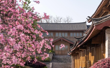 Spring blossoms frame traditional architecture at Amandayan in China.