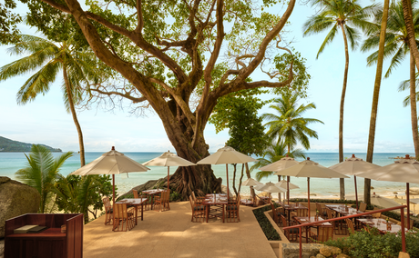 Dining terrace at Amanpuri with wooden tables set beneath palm trees overlooking the Andaman Sea.
