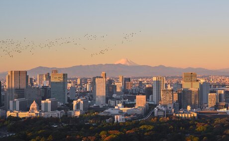 Tokyo skyline at sunrise with Mount Fuji visible in the distance, viewed from Aman Tokyo.