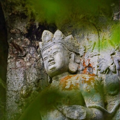 Stone carving of a serene face framed by lush green moss at Amanfayun, China.