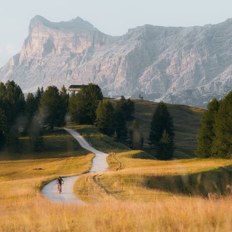 Mountain biker on winding trail through golden meadow at Aman Rosa Alpina resort, Italy.