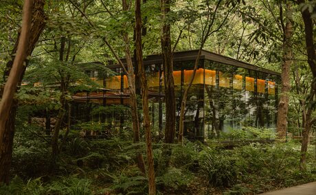 The Café by Aman exterior nestled amongst tall trees at dusk, Tokyo.