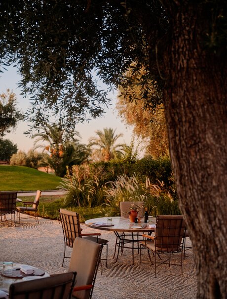 Breakfast setup beneath ancient olive tree at Amanjena, Morocco, with terrace seating and morning light.