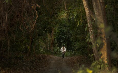 Cyclist riding through a lush tree-lined path at Amanwana, Indonesia.