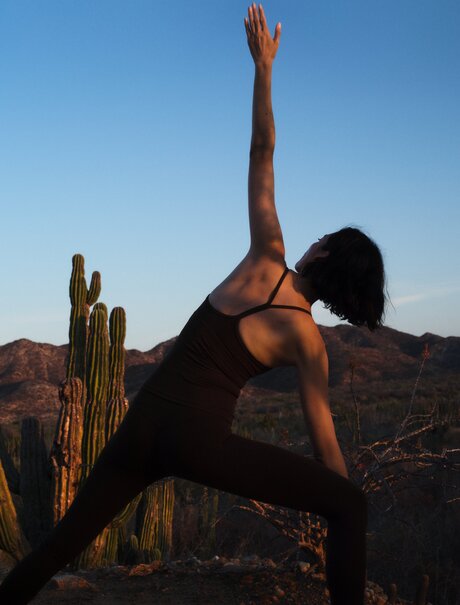Guided desert hiking at Amanvari, Mexico: a hiker stretches beneath clear skies amongst saguaro cacti.