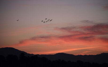 Sunset sky over Amanvari with silhouetted mountains and birds in flight.