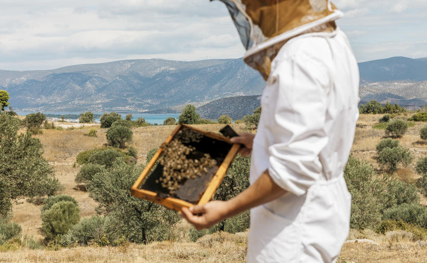 Amanzoe, Greece - Experiences, The Art of Beekeeping_