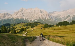 Mountain valley with verdant meadows and distant peaks at Aman Rosa Alpina, Italy.
