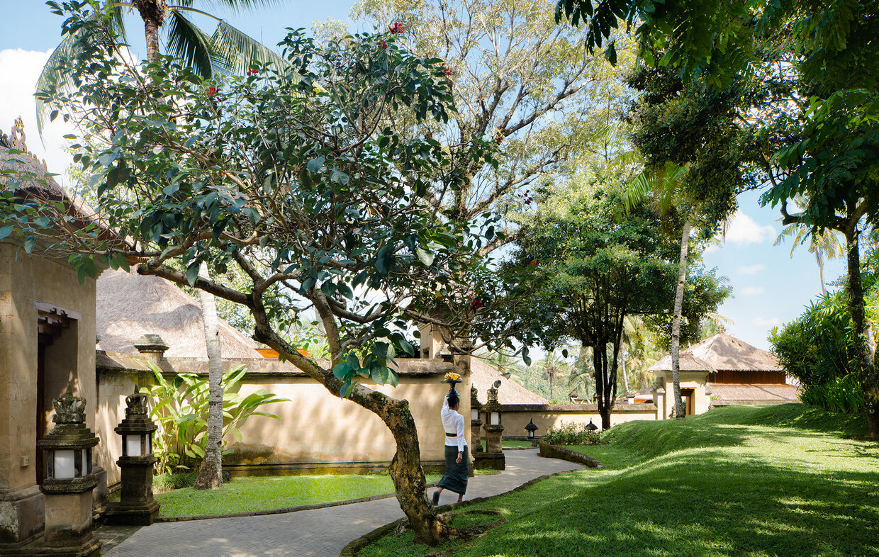 Amandari's manicured gardens with mature trees, green lawns and stone architecture under bright daylight.