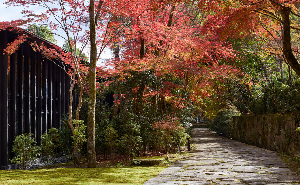 Aman Kyoto, Autumn, Experiences