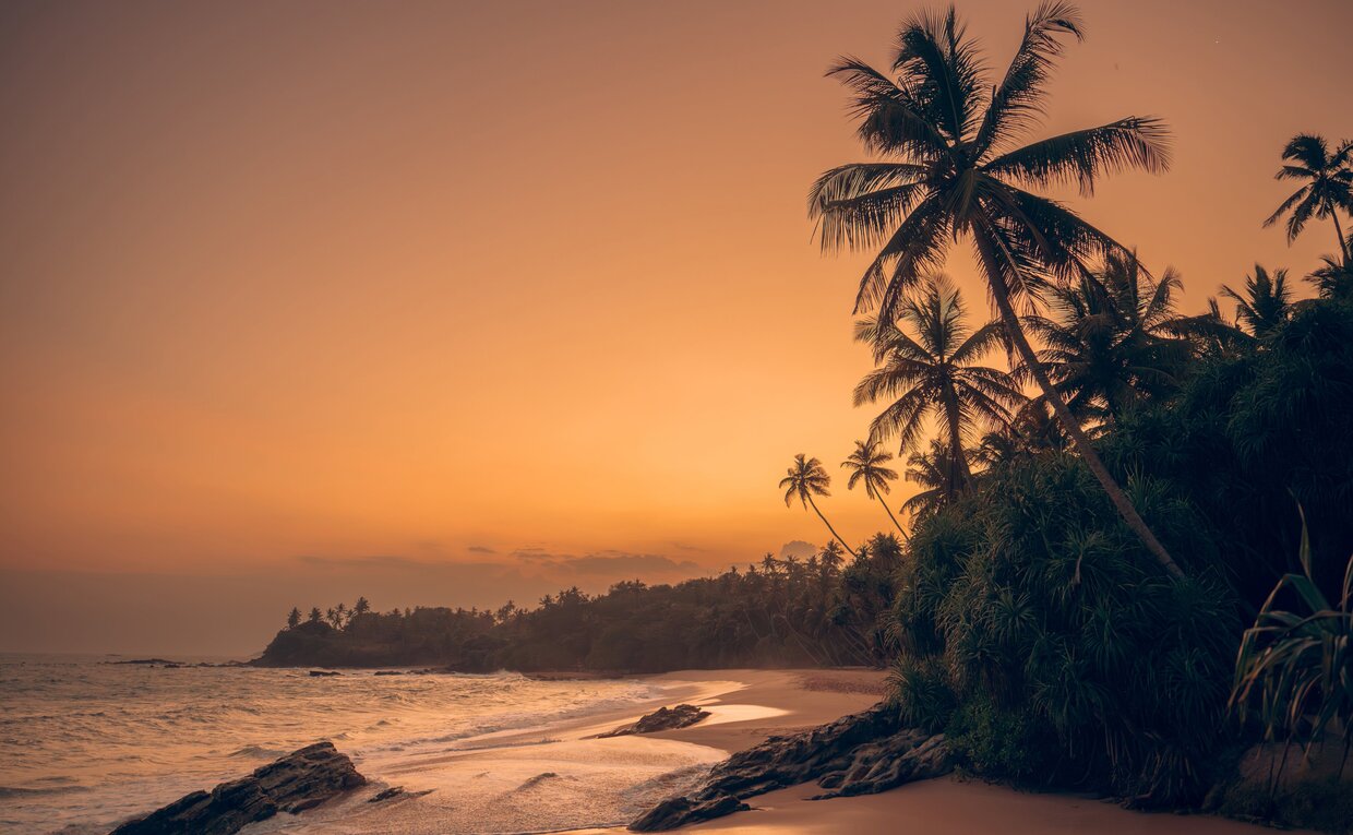Sunset over a silent beach at Amanwella, with palm trees silhouetted against golden skies and gentle waves.