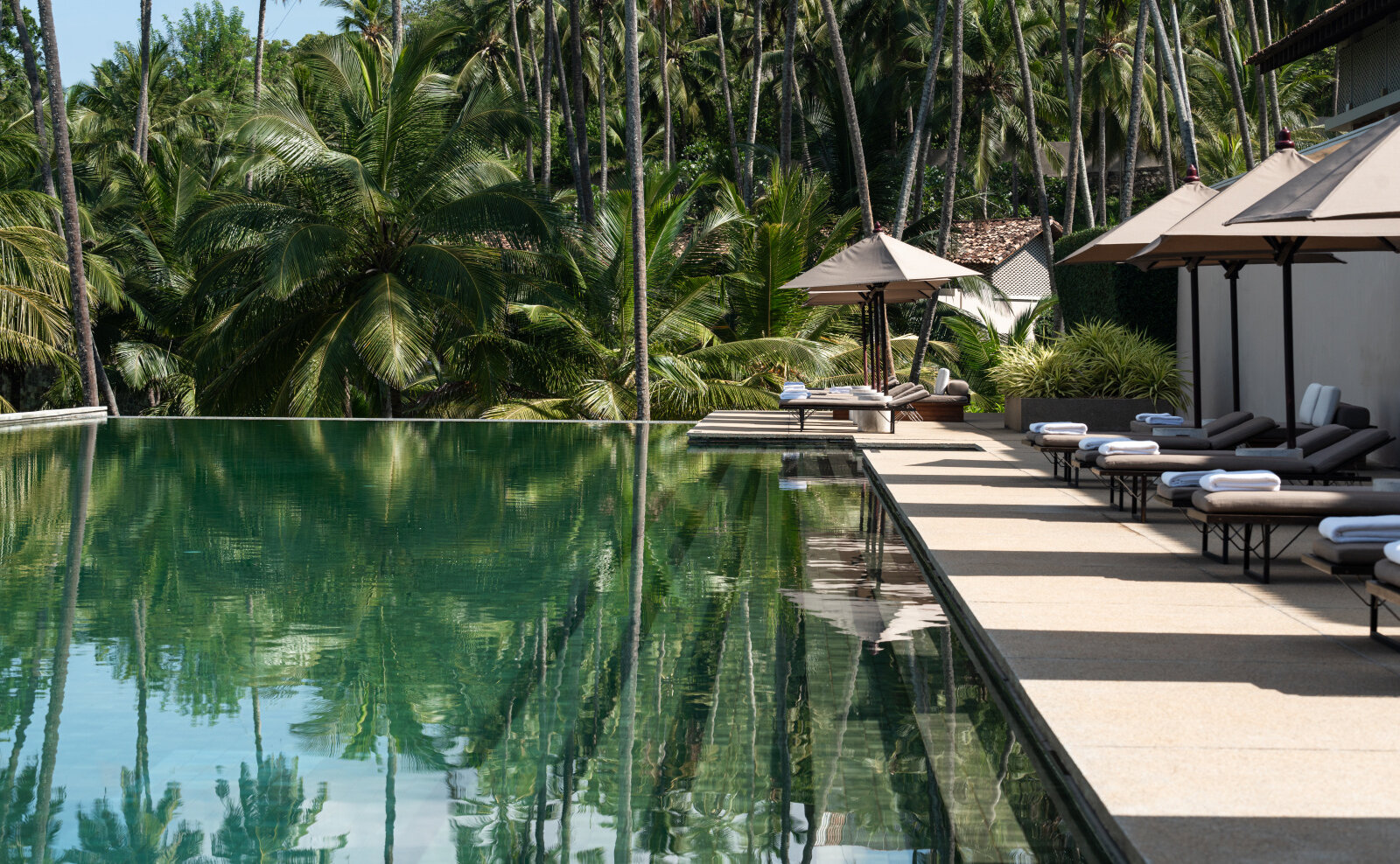 The long green-tiled pool reflecting coconut palms, with sun loungers and umbrellas along its deck