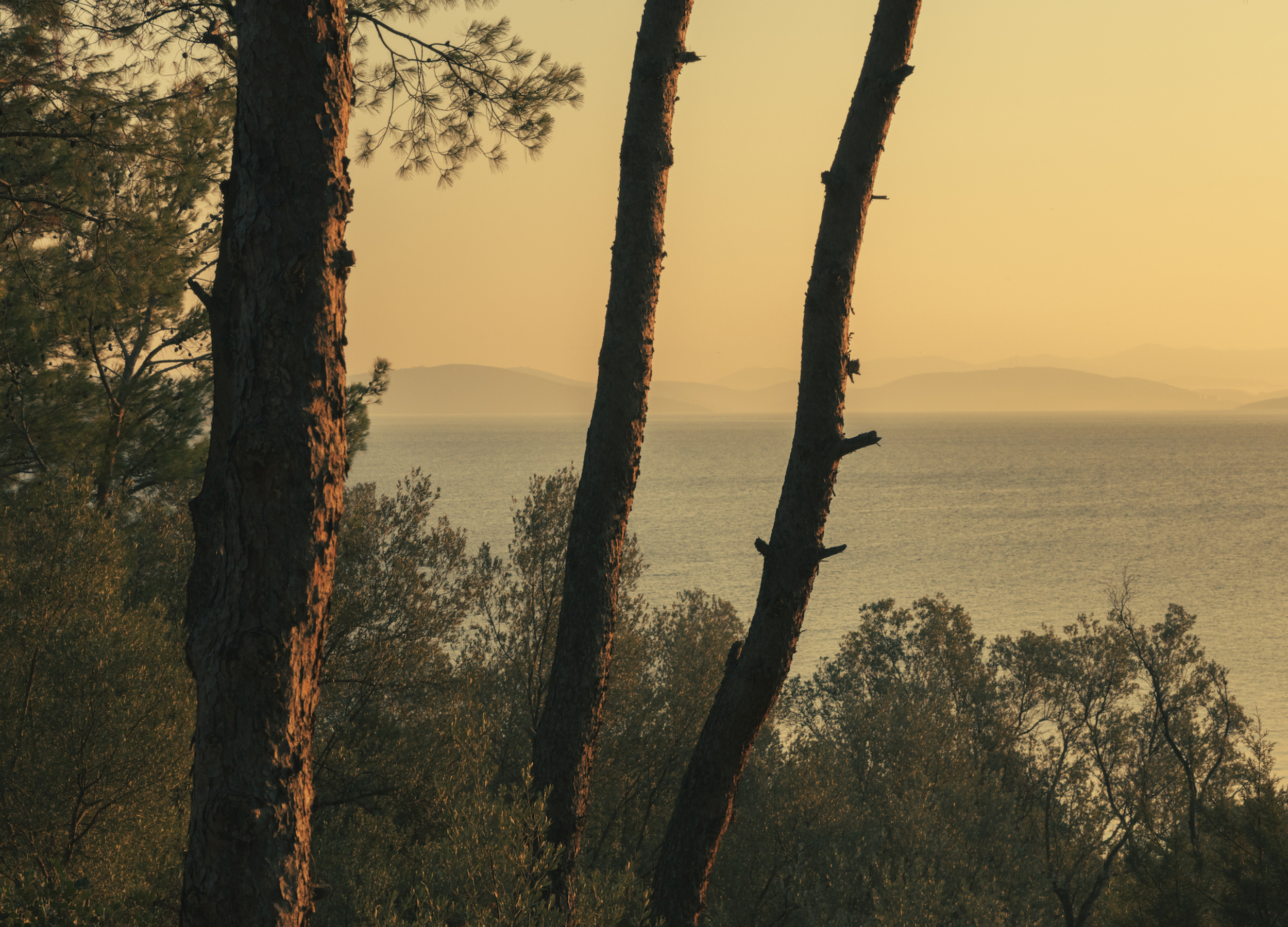 Amanruya, Meditations