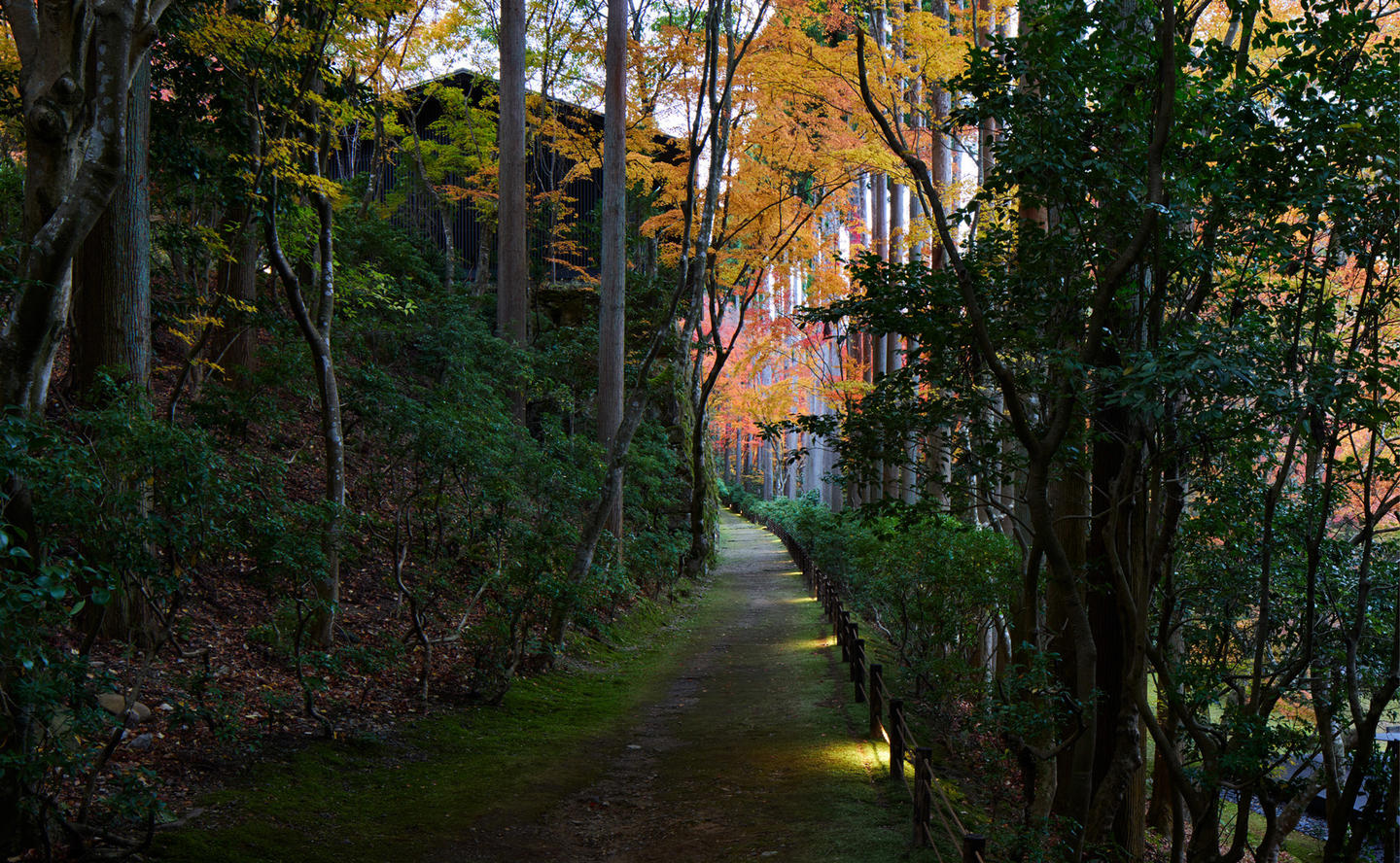 Pathway, Takagamine Suite - Aman Kyoto, Japan