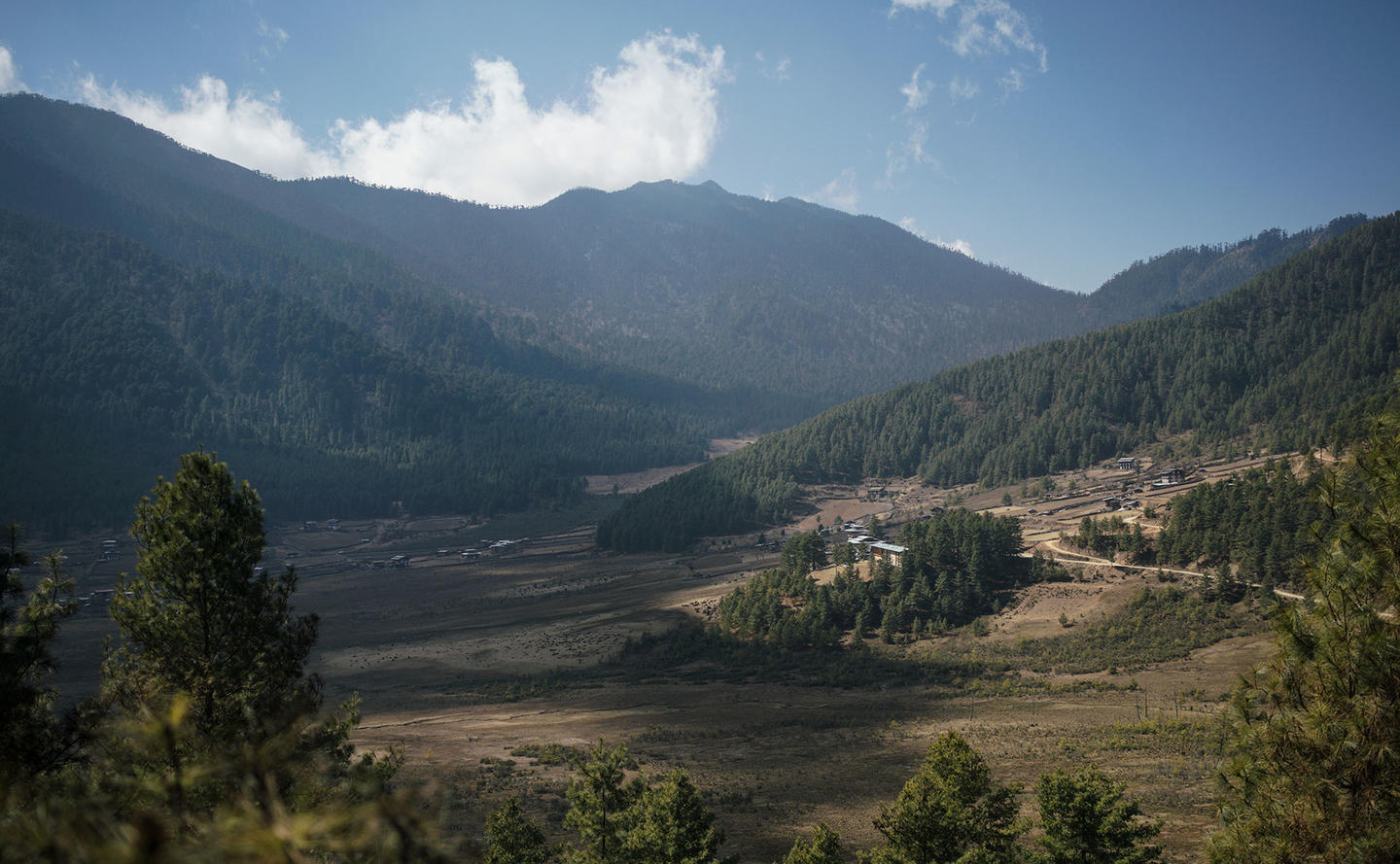 Phobjika Valley, Gangtey - Amankora, Bhutan