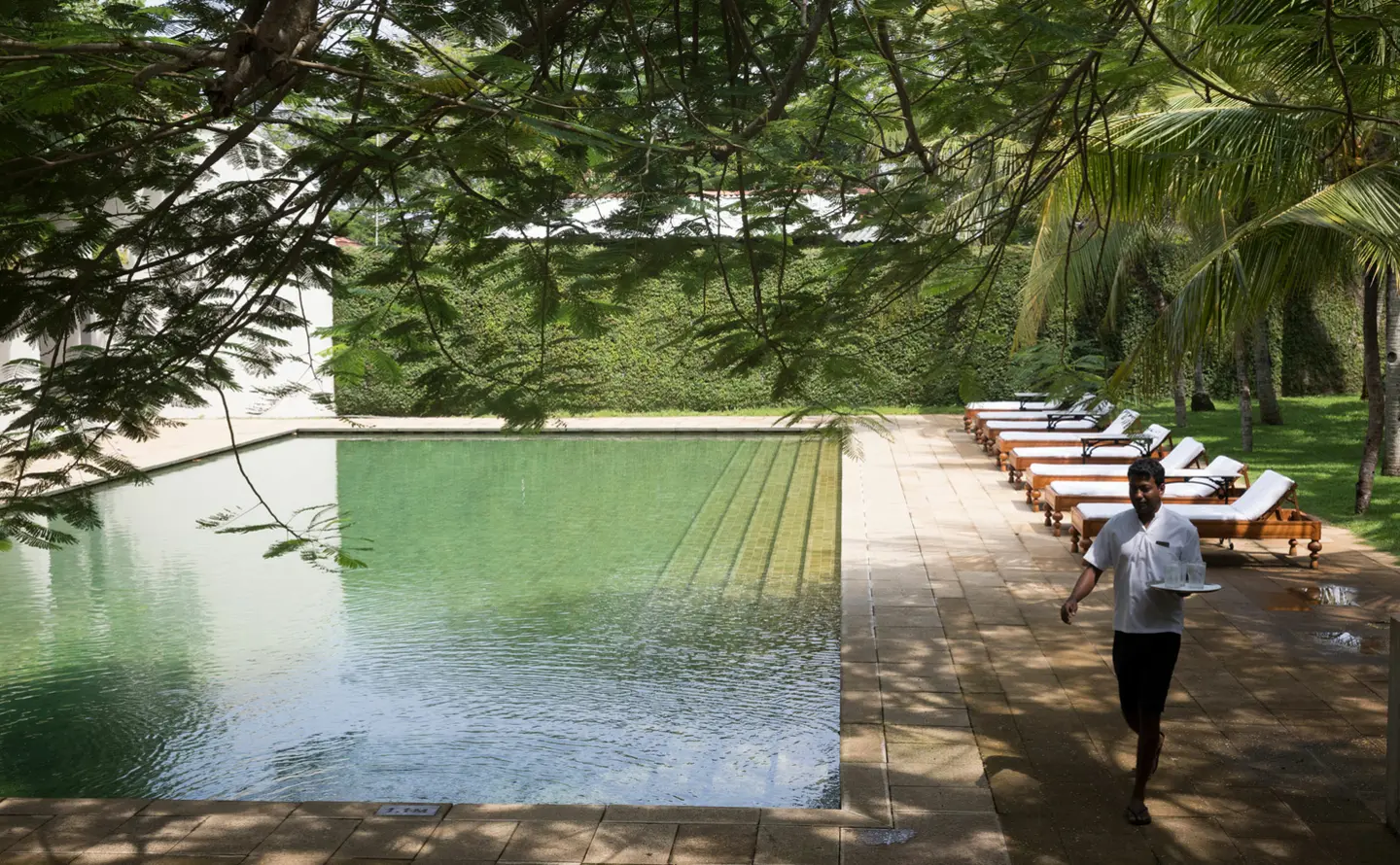 The long green-tiled pool under the garden trees, with a row of sun loungers on the stone deck