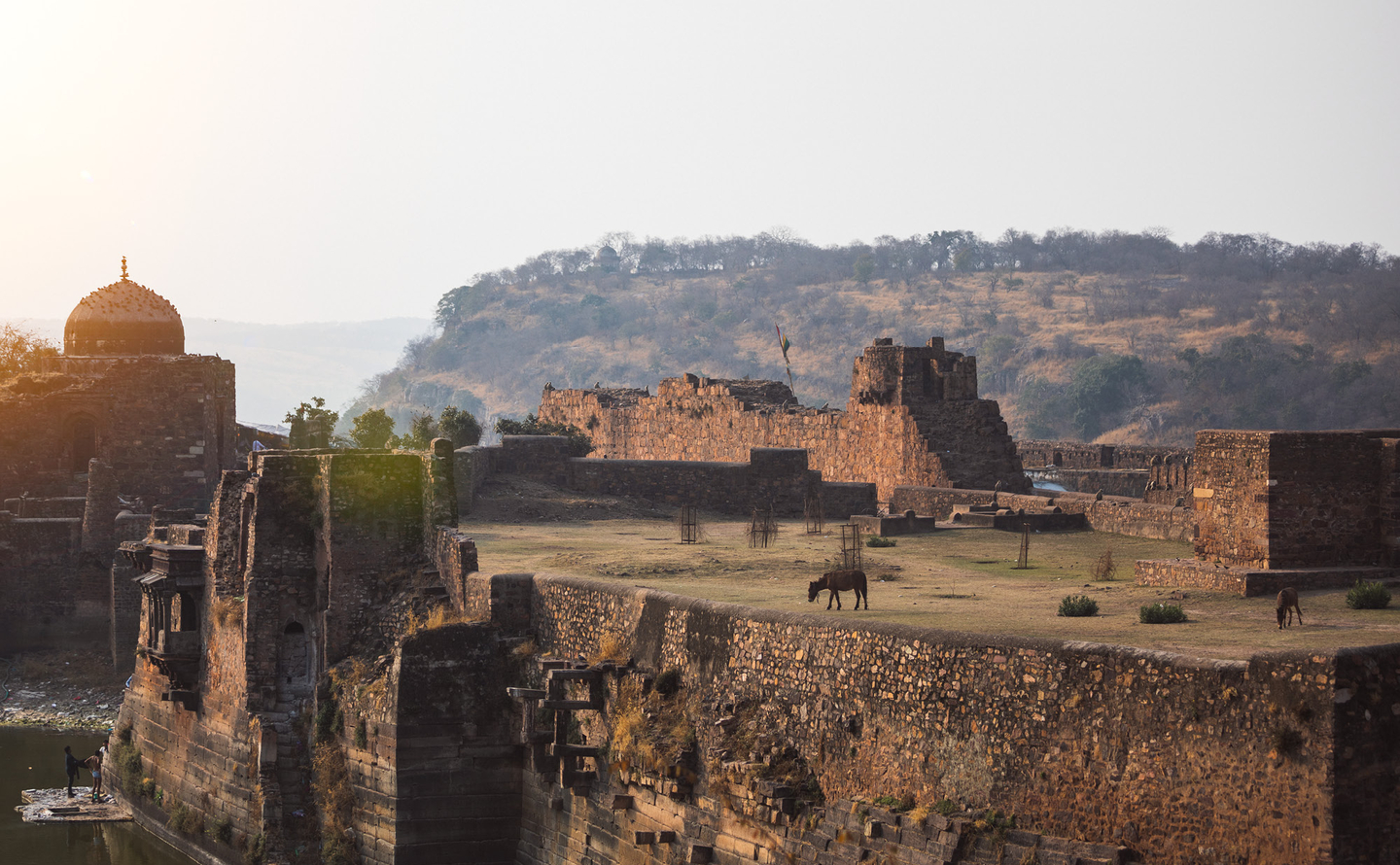 Experiences - Things to do in Ranthambore, India - Aman-i-Khas