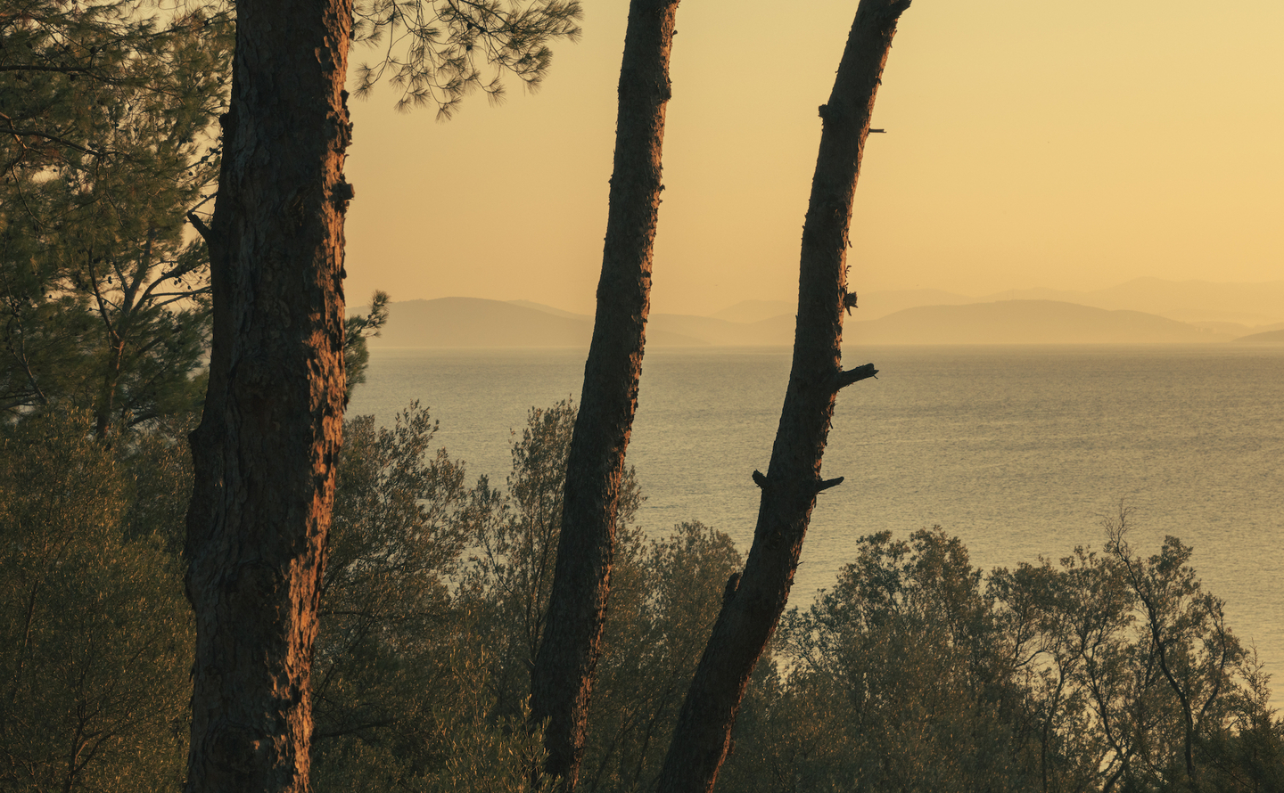 Amanruya, Meditations