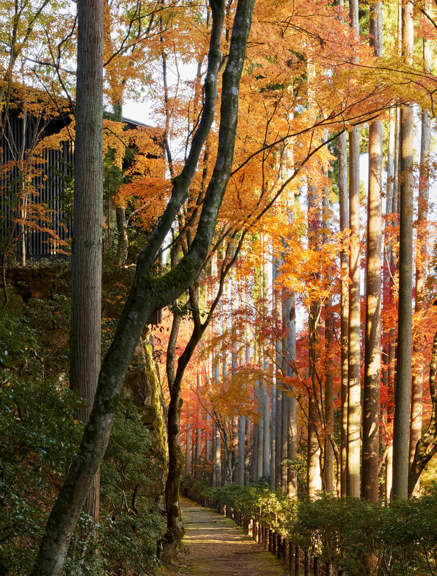 Aman Kyoto, Japan - Exterior & Garden