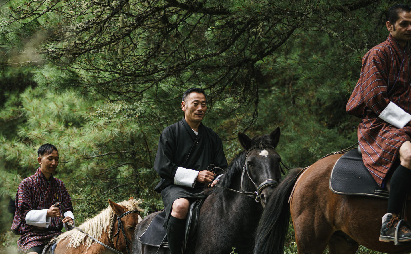 Amankora, Bhutan - Experience, Horses