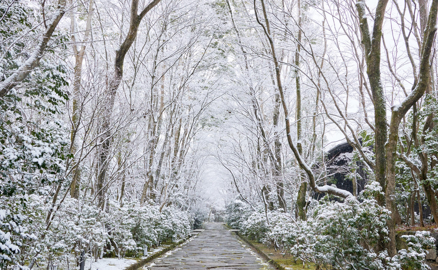Aman Kyoto Snow