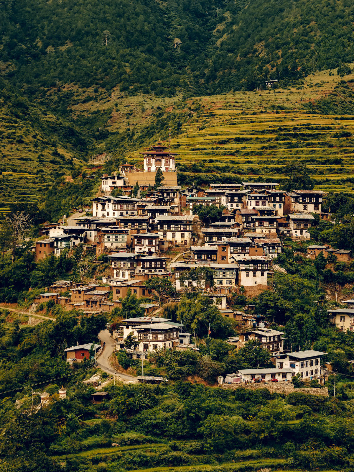 Amankora - Bhutan - Landscape 