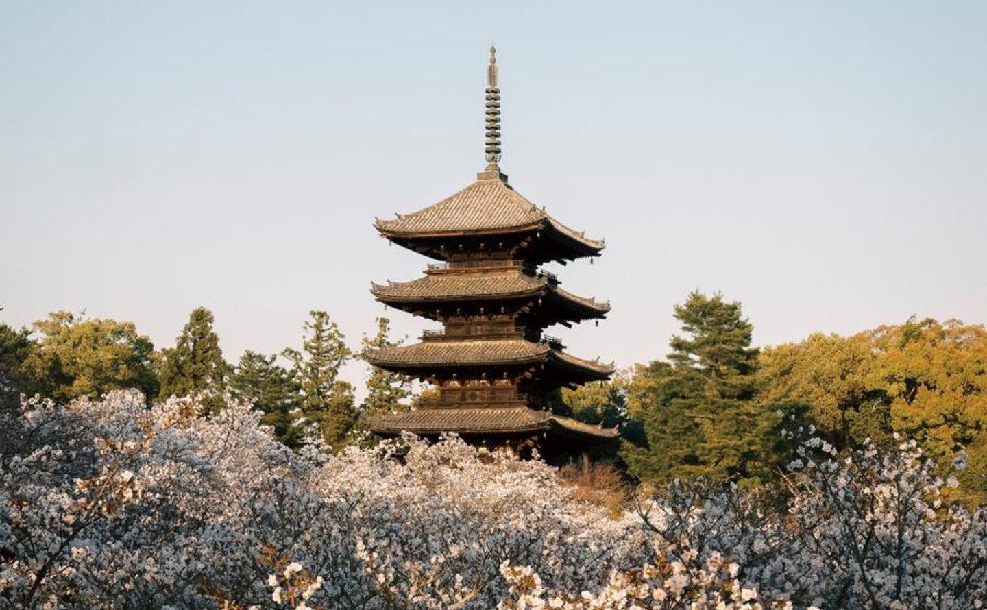 Aman Kyoto, Japan - Sakura Season