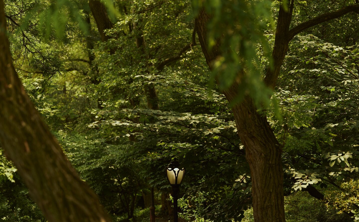 A vintage street lamp beneath towering trees in Aman New York's verdant gardens.