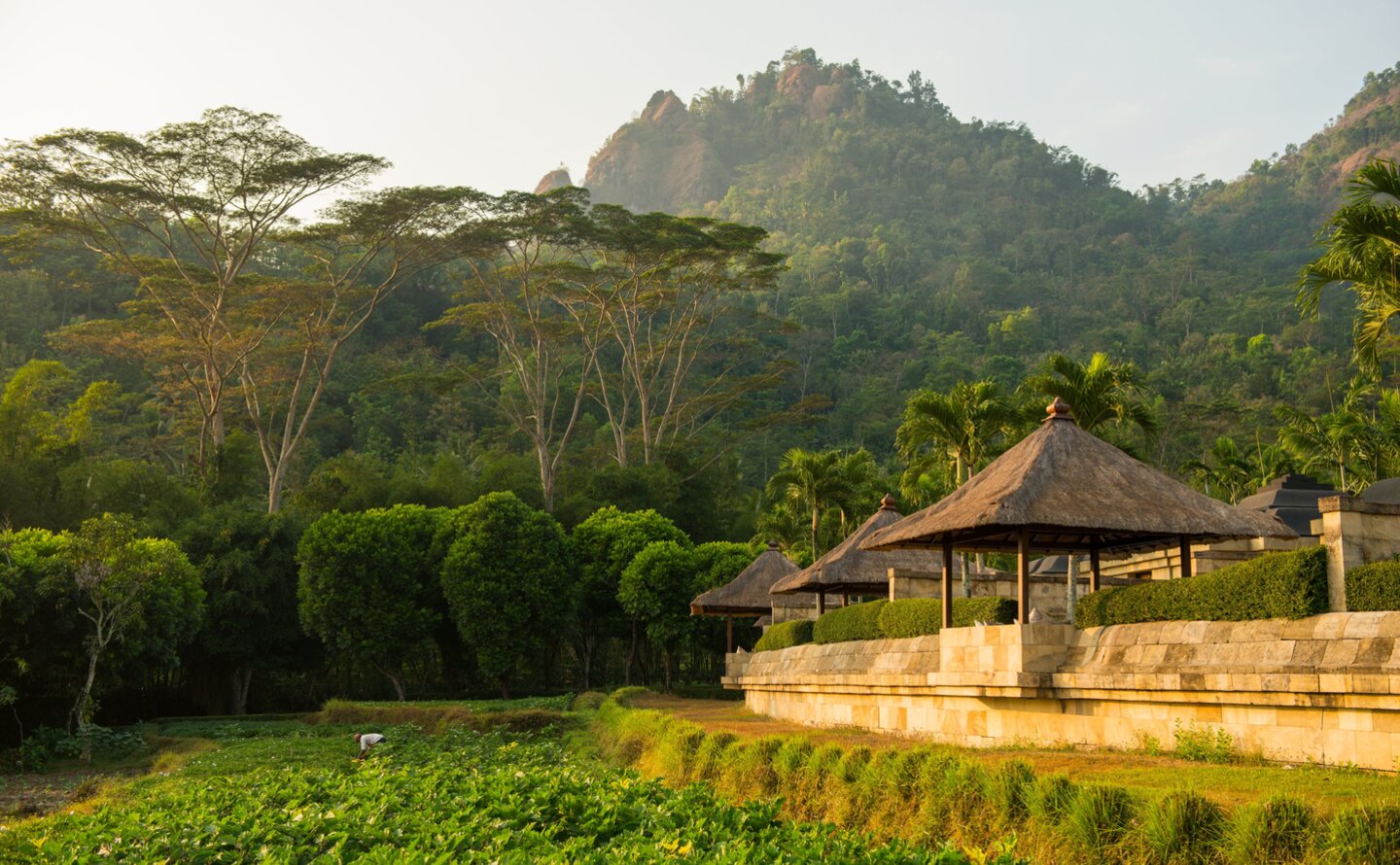 Menoreh Pavilion at Amanjiwo overlooking rice paddies with forested hills beyond, Indonesia.