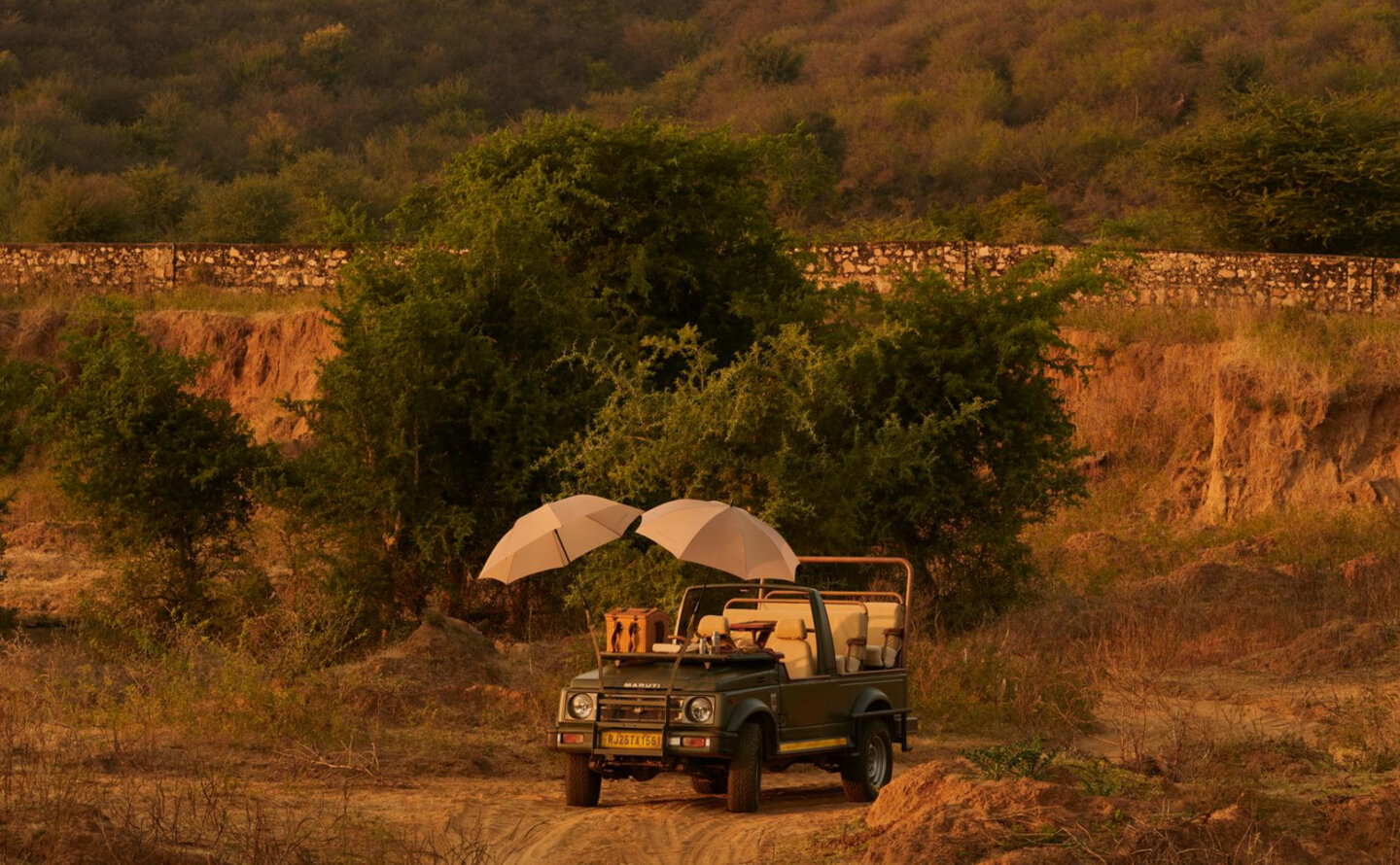 Safari vehicle parked beneath acacia tree in the Indian wilderness at Aman-i-Khas.