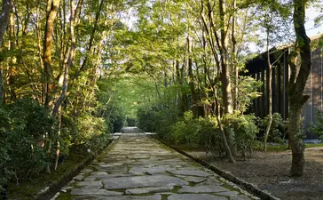 安缦京都度假村石板小径两侧林木成荫，阳光透过树叶洒落。