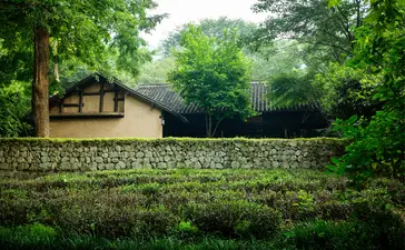 Amanfayun pavilion nestled amongst lush green woodland landscape.