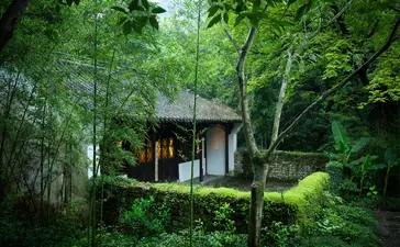 Wooden pavilion elevated among lush green forest canopy at Amanfayun.