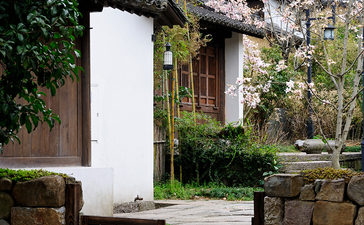 Stone gateway with wooden door leading to Amanfayun courtyard, ivy-clad walls beyond.