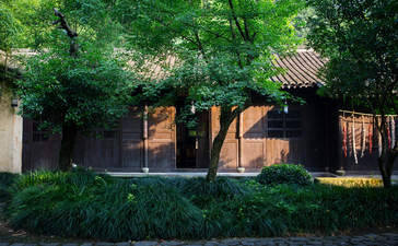 Amanfayun's courtyard pavilion framed by mature trees and dappled sunlight.