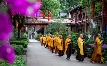 Buddhist monks walking through Amanfayun's verdant gardens, framed by vibrant magenta flowers.
