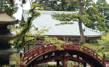 Arched wooden bridge framed by lush greenery at Amanemu resort.