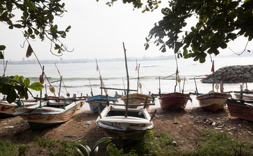 Boats moored along the waterfront at Amangalla, with tree branches framing the view.