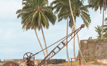 Amangalla's ochre-coloured fort wall with palm trees rising behind, reflected in still water below.