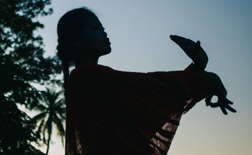 Silhouette of a statue holding a bird at Amansara, set against a twilight sky with trees.