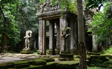 Stone temple ruins surrounded by moss-covered trees at Amansara.