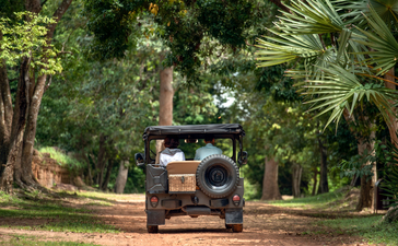 Vintage truck driving through tree-lined grounds at Amansara.