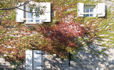 Cottage exterior at Aman Sveti Stefan with ivy-covered stone walls and autumn foliage in Montenegro.