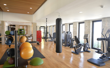 Salle de fitness équipée à Amanzoe, avec appareils d'entraînement et balles de gym.