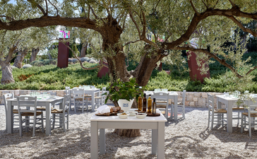 Outdoor dining area beneath ancient olive trees at Amanzoe resort, Greece.
