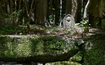Stone lantern surrounded by moss-covered garden at Aman Kyoto.