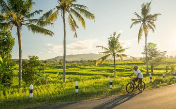 Cyclist on rural path lined with palm trees at Amandari, Bali.