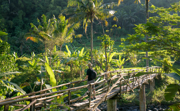 Cyclist riding across wooden bridge through lush forest canopy at Amandari.