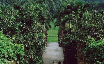 Amanjiwo guest walking through manicured garden pathway towards misty volcanic landscape.