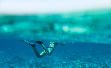 潜水员在安缦湾澜度假村清澈的海水中探索海底。